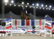 Quiz Saut d'obstacles
