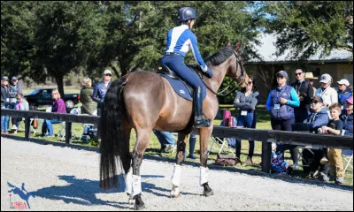 Quels sont les points de pénalité dans l'ordre : 1 barre tombée, refus ou désobéissance, 1 chute et un dépassement de temps ?
