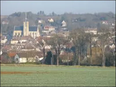 Ville de l'arrondissement de Provins, sur les bords de l'Auxence, Donnemarie-Dontilly se situe en r&eacute;gion ...