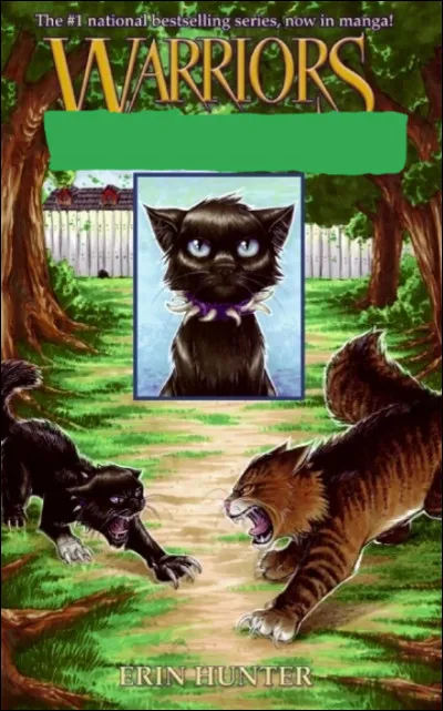 Vraiment, là c'est level expert : une BD anglaise :