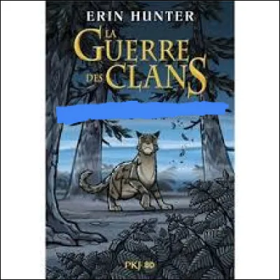 Allez, une autre BD !