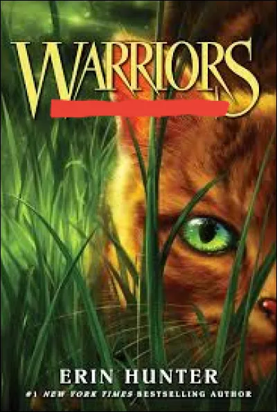 Attention : un livre anglais !