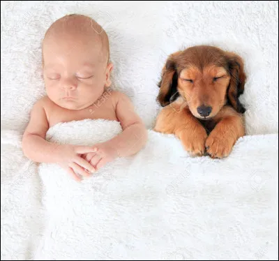 Ton chien verra-t-il souvent des enfants ? Si oui, des enfants de quel âge ?