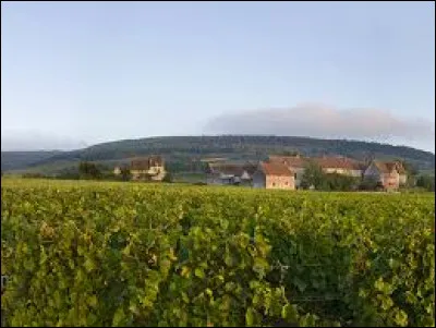 Quel est le terroir du fameux vin Chassagne-Montrachet ?