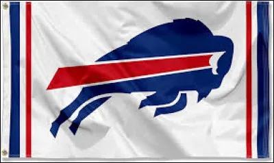 Dans quel sport s'illustrent les Bills de Buffalo ?