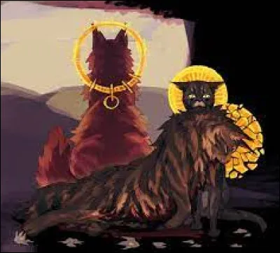 Lors de la derni&egrave;re lune, alors que vous &ecirc;tes chatons, c'est Petit Fauve qui n'arr&ecirc;te pas de te traiter de tous les noms et de se moquer de toi. Si bien que tu commences &agrave; perdre confiance en toi, et &eacute;norm&eacute;ment. Tu pleures et l'&eacute;vites. C�ur Cendr&eacute; et Pelage de Lion ne semblent pas vraiment s'en rendre compte, pourtant. Petite Boule Rousse veut devenir gu&eacute;risseuse et toi aussi. Que fais-tu ?