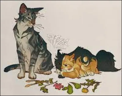 Le guerrier que tu voulais comme mentor, Truffe de Sureau, devient le mentor de Nuage de Fauve. Et toi, maintenant... tu deviens l'apprentie d'&Eacute;toile de Ronce. Tu es fi&egrave;re et soulag&eacute;e. Il te demande ce que tu veux faire en premier. Tu r&eacute;ponds...