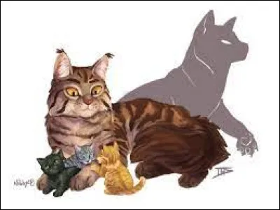 Il t'apprend ce que tu voulais. Sur le chemin du retour, il t'explique que Feuille de Houx, ta m&egrave;re, &eacute;tait la fille d'une gu&eacute;risseuse, mais aussi sa fille adoptive, tout comme �il de Geai et Pelage de Lion. Il ajoute qu'il l'appr&eacute;ciait beaucoup, mais qu'une grande trag&eacute;die avait &eacute;t&eacute; tourn&eacute;e autour d'elle et que tous la croyaient morte. Il dit que tu es une lueur d'espoir dans le clan.