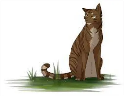 Le soir, dans la tani&egrave;re des apprentis, Nuage de Fauve se moque de toi en disant que ta fourrure est noire et rousse comme celle d'un renard et que cela veut dire que tu es la nouvelle terreur de ce clan. Il ajoute que si &Eacute;toile de Ronce t'a nomm&eacute;e comme son apprentie, c'est seulement parce qu'il voulait te tuer &agrave; l'entra&icirc;nement. Que dis-tu ?