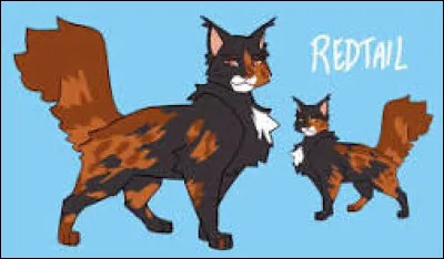 Quelques lunes plus loin, tu deviens enfin guerrier ! Quel nom esp&egrave;res-tu avoir ?