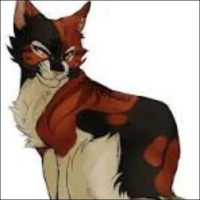 Il te nomme Lueur du Cr&eacute;puscule. Quant &agrave; Nuage de Fauve, il le nomme Croc de Fauve. Puis, vous veillez. Quelques longues lunes plus tard, tu fais un r&ecirc;ve o&ugrave; les &eacute;toiles te pr&eacute;disent que tu dois devenir lieutenante et cheffe pour accomplir la proph&eacute;tie et que si tu &eacute;choues, le clan &eacute;chouera aussi. Comment r&eacute;agis-tu ?