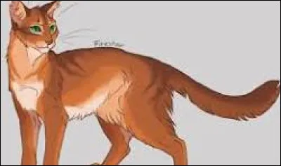 Le troisi&egrave;me est un m&acirc;le roux vif comme le feu aux yeux verts. Comment le nommes-tu ?