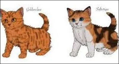 Finalement, il te nomme lieutenante. Cela ne semble pas vraiment faire l'affaire de Croc de Fauve, qui te jette des regards noirs. Celui-ci a eu notamment des chatons, deux chatons : Petit Sapin et Petit Renard. &Eacute;toile de Ronce te demande qui m&eacute;riterait de les avoir comme apprentis. Tu sais que dans son regard, il esp&egrave;re que tu deviennes mentor de l'un deux. Est-ce que &ccedil;a te d&eacute;rangerait ?