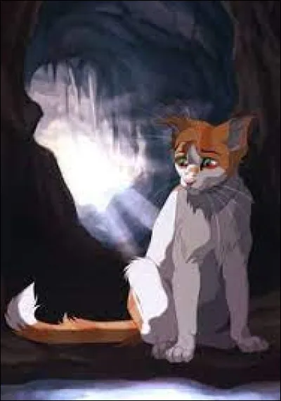 Finalement, il te donne Nuage de Sapin. Tu finis sa formation, il est assez agit&eacute;. Tu deviens cheffe entre temps, &Eacute;toile du Cr&eacute;puscule. Comment nommes-tu ton apprenti ?