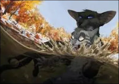 Quelle capacit&eacute; pr&eacute;f&egrave;res-tu ?