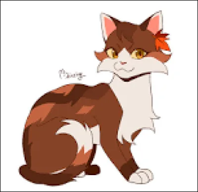 Quel chef d&eacute;testes-tu le plus ?