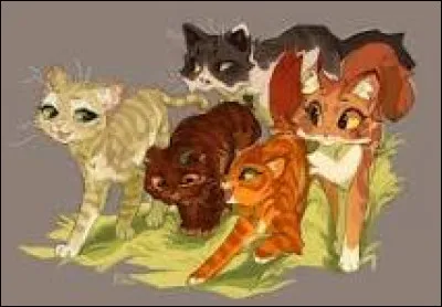 Imagine : tu es chef du Clan du Tonnerre et tu meurs (wow). Tu reviens au Clan des &Eacute;toiles, et ils te demandent de choisir un &eacute;lu dans ton clan, pour une exp&eacute;dition risqu&eacute;e et sinueuse. Qui choisis-tu ?