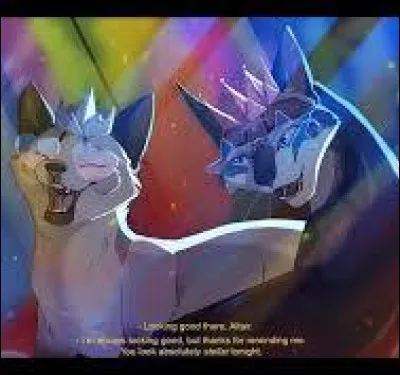 Apprenti guerrier ou apprenti gu&eacute;risseur ? Qui pr&eacute;f&egrave;res-tu ?