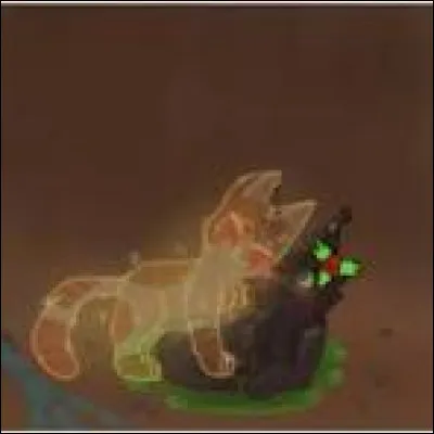 Commen&ccedil;ons une histoire ! Tu es n&eacute;e de Feuille de Houx et Feuille Morte (ne me dis pas comment c'est possible), tu passes tes deux premi&egrave;res lunes dans les tunnels. Feuille de Houx t'avait toujours dit qu'en dehors des tunnels, c'&eacute;tait extr&ecirc;mement dangereux, alors tu as toujours eu assez peur. Quel pelage aimerais-tu avoir ?