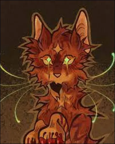 Tu as un pelage roux et noir. Tu te nommes Petit Cr&eacute;puscule. Un jour, le tunnel s'effondre sur toi et ta m&egrave;re. Tu as failli mourir, mais ta m&egrave;re a r&eacute;ussi &agrave; te sortir &agrave; temps. Le Clan du Tonnerre t'a retrouv&eacute;e et t'a adopt&eacute;e. Ils te demandent premi&egrave;rement qui &eacute;tait ta m&egrave;re. Que r&eacute;ponds-tu ?