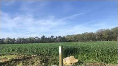 À quelle altitude situez-vous le point culminant du département ?