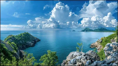 Qui chantait "Face à la mer", en duo avec Passi ?