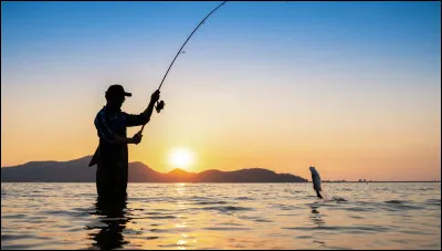 Qui chantait "Le Rêve du pêcheur" exprimé par les mots "♫ Je rêve d'eau mais d'océan, ah ! L'océan, au sud et vivre de pêche, mais les rêves on les empêche...♪ ♫" ?