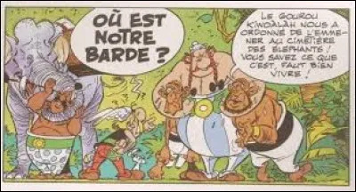 De quel album provient cette image ?