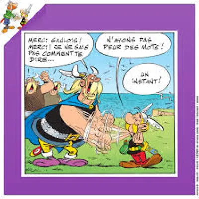 Cette image nous vient de l'album ...