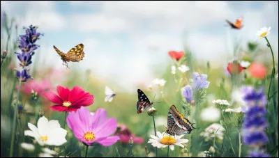 Que préfères-tu au printemps ?