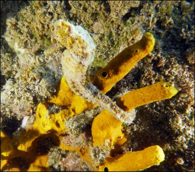 Parmi les propositions suivantes concernant cette photo, lesquelles sont vraies ?