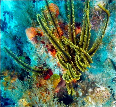 Parmi les propositions suivantes concernant cette photo, lesquelles sont vraies ?