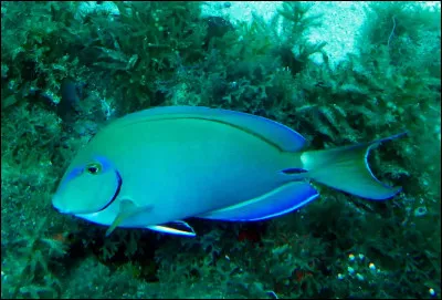 Parmi les propositions suivantes concernant cette photo, laquelle est fausse ?