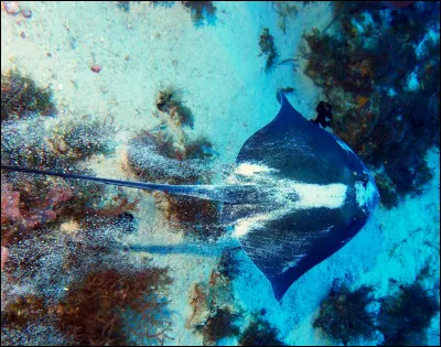 Parmi les propositions suivantes concernant cette photo, laquelle est fausse ?