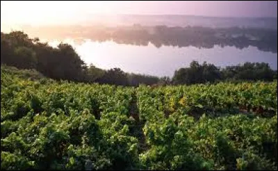 Quel est ce vin blanc sec produit en Loire atlantique ?