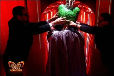 Une troisième star internationale débarque sur le plateau de la demi-finale de "Mask Singer", qui était derrière le costume de la grenouille et a été démasqué le vendredi 20 juin 2025 ?