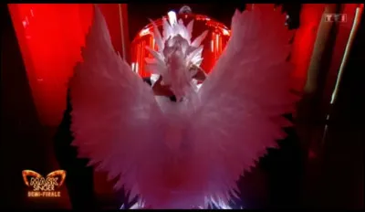 Malheureusement pour le cygne, son aventure s'arrête à la demi-finale et n'accédera pas aux portes de la finale de "Mask Singer", qui était derrière le costume du cygne et a été démasqué le vendredi 20 juin 2025 ?