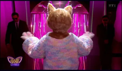 Malheureusement, le chaton était le premier personnage à être éliminé lors de la finale de ''Mask Singer''. Qui était derrière le costume du chaton et a été le premier à être démasqué le vendredi 27 juin 2025 ?