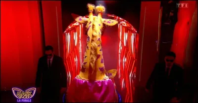 Et enfin, le grand gagnant enlevait son masque le vendredi 27 juin 2025. Qui était derrière le costume de la girafe ?