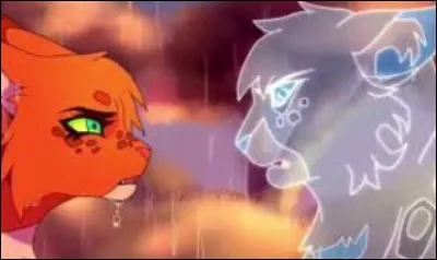 Qui est son compagnon ?