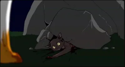 Qui est sa mère adoptive ?