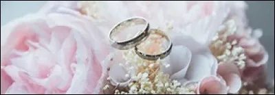 Comt&eacute; de Bourgogne dite : Franche-Comt&eacute; : &Agrave; la mort de Charles le T&eacute;m&eacute;raire, l�&Eacute;tat bourguignon est d&eacute;mantel&eacute;. La Franche-Comt&eacute; devient propri&eacute;t&eacute; des Habsbourg. Comment ?