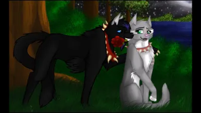 Et enfin, qui sont les chatons de Plume de Jais ?