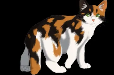 Quel est ce personnage ?