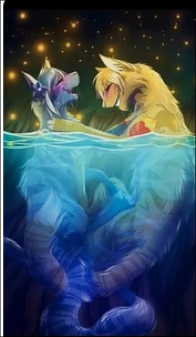 Quelle compagne a été la préférée de Plume de Jais ?