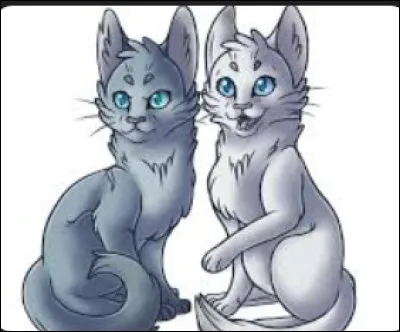 Qui Griffe de Ronce aime-t-il le plus ?