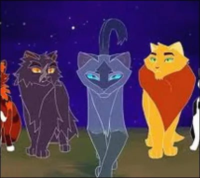 Plume de Jais est de quelle couleur ?