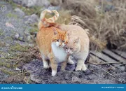 Test  quel couple penses-tu ?