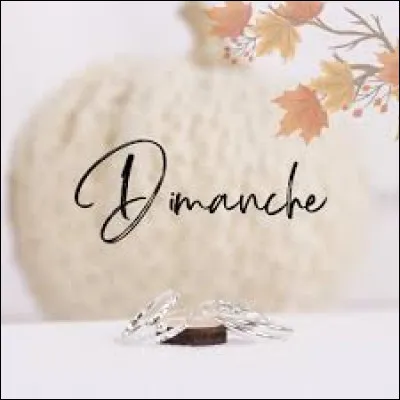 Que fais-tu un dimanche parfait ?