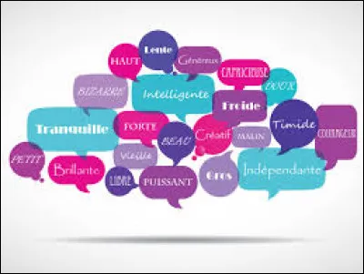 Quel est le mot qui te décrit le mieux ?